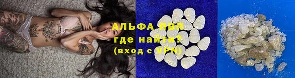 прущие грибы Инта