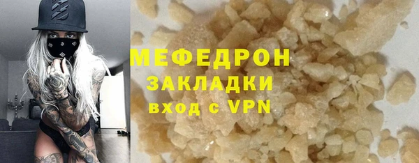 прущие грибы Инта