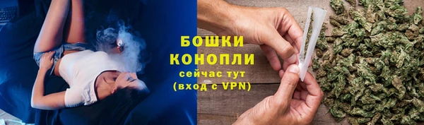 сатива Иннополис