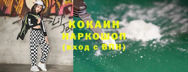 прущие грибы Инта