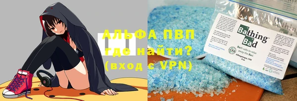прущие грибы Инта
