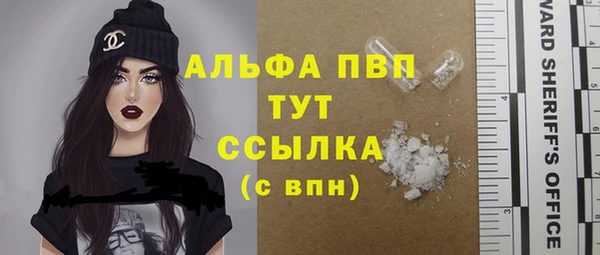 прущие грибы Инта