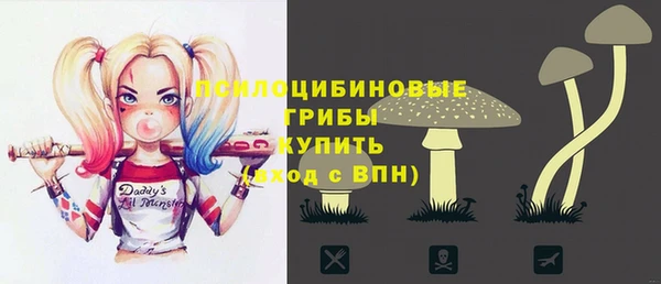 прущие грибы Инта