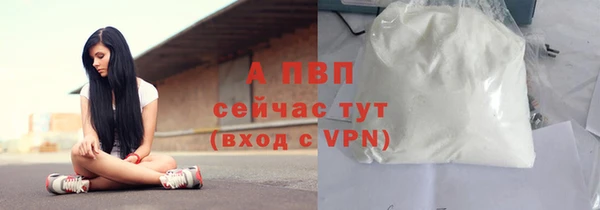 сатива Иннополис