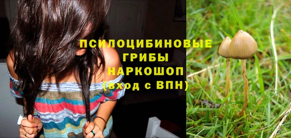 бошки Осинники