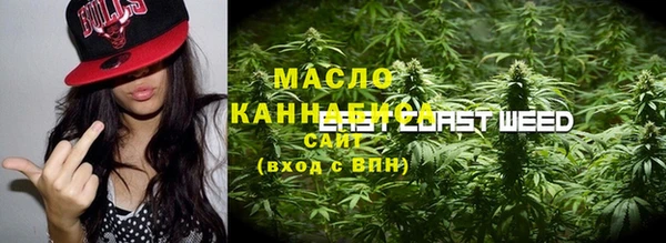 сатива Иннополис