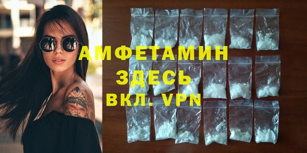 сатива Иннополис