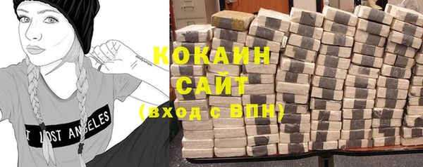 прущие грибы Инта