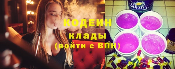 прущие грибы Инта