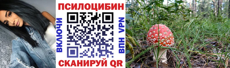 Псилоцибиновые грибы мухоморы Мелеуз